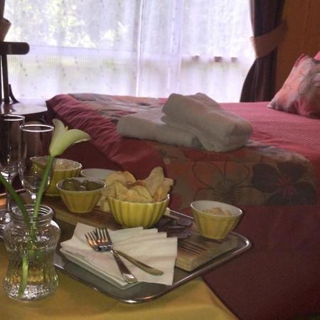 Hostal Del Muelle Valdivia Bagian luar foto