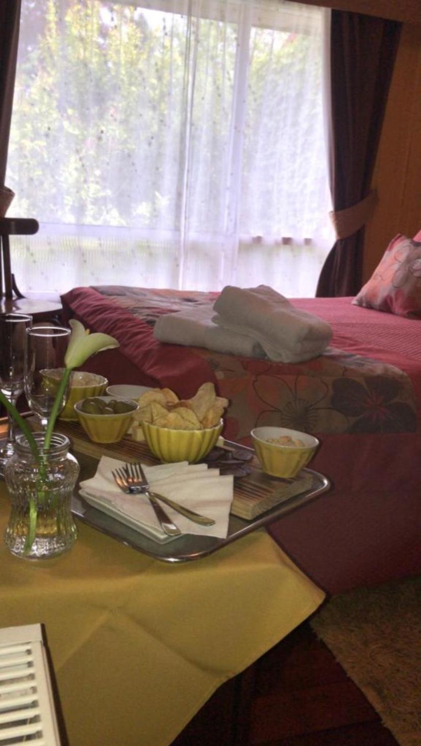 Hostal Del Muelle Valdivia Bagian luar foto