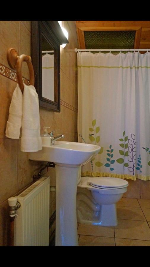 Hostal Del Muelle Valdivia Bagian luar foto